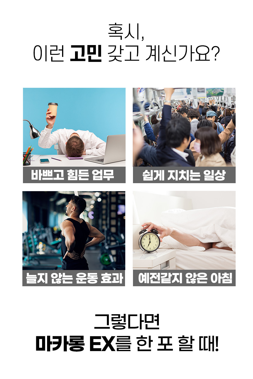컨텐츠