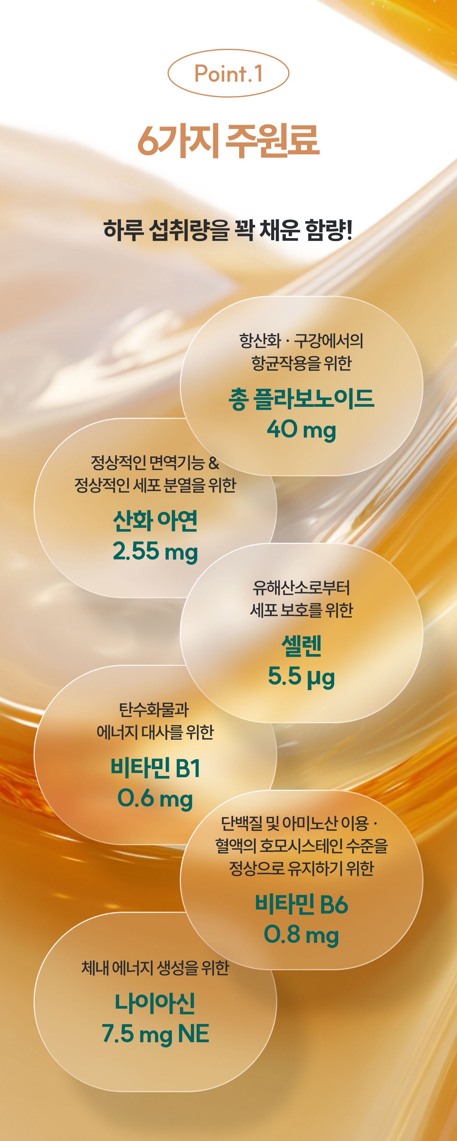 컨텐츠