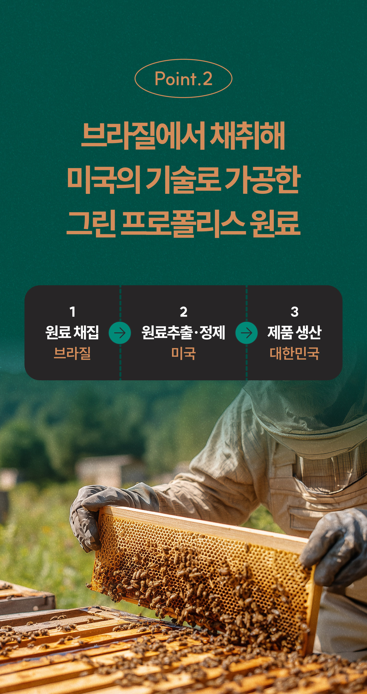 컨텐츠