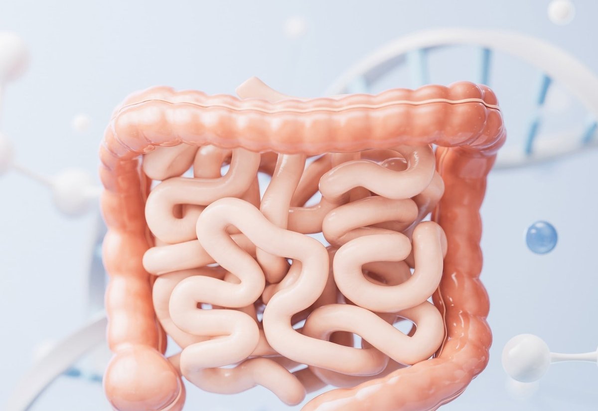 DNA 이미지를 배경으로 한 장(腸) 3D 일러스트