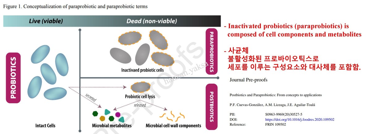사균체(파라바이오틱스)와 대사물을 구분한 개념도