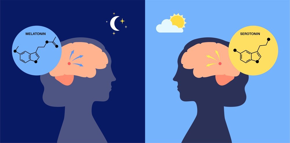 밤하늘과 멜라토닌(MELATONIN) 구조식, 낮 하늘과 세로토닌(SEROTONIN) 구조식을 각각 사람 옆얼굴의 뇌와 함께 나타낸 그림