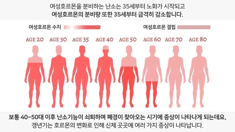 '여성호르몬을 분비하는 난소는 35세부터 노화가 시작되고 여성호르몬의 분비량 또한 35세부터 급격히 감소합니다' 문구와 AGE 20부터 AGE 80까지 여성 실루엣의 여성호르몬 수치를 색으로 나타낸 인포그래픽