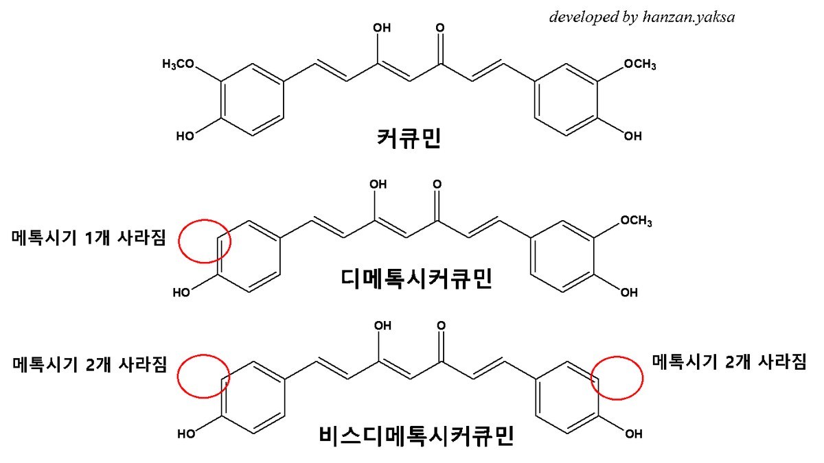 커큐민, 디메톡시커큐민, 비스디메톡시커큐민의 화학구조 비교(메톡시기 1개·2개 사라짐 표시)