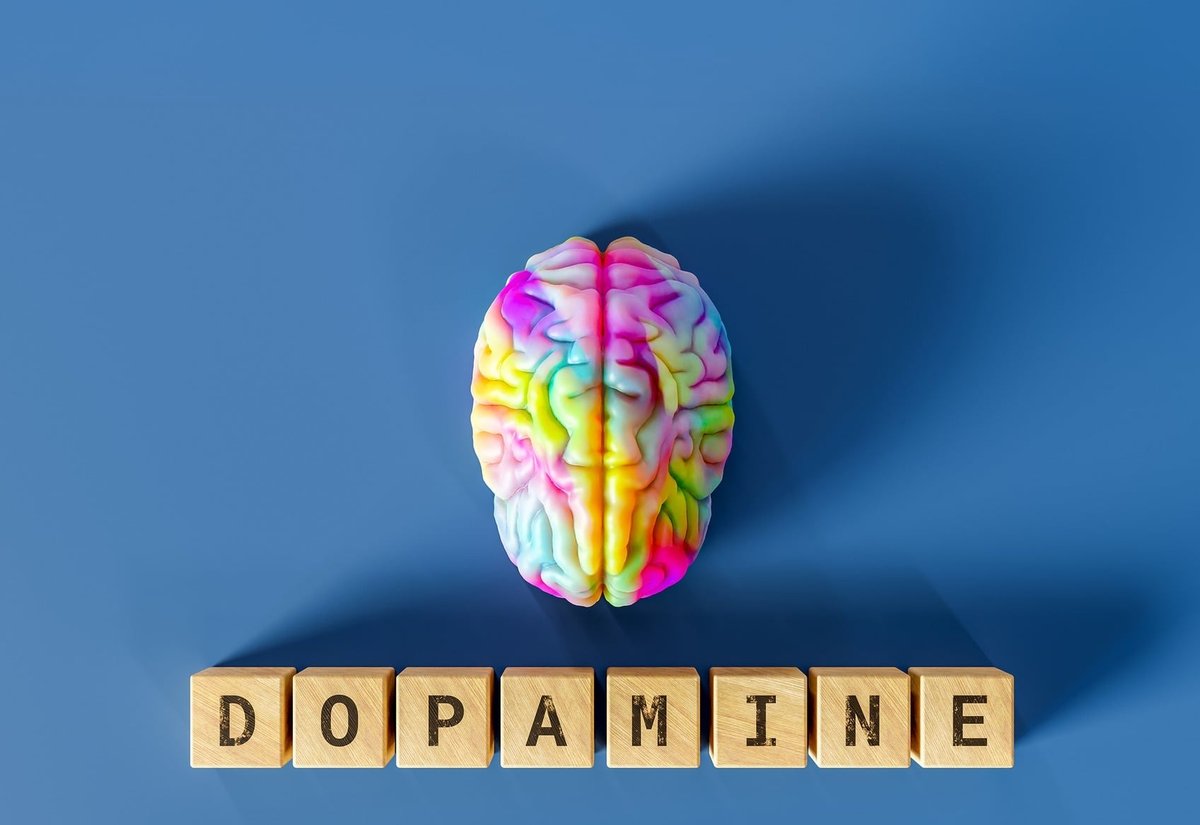 파란 배경 위 무지개색 뇌 모형과 'DOPAMINE' 글자가 새겨진 나무 블록