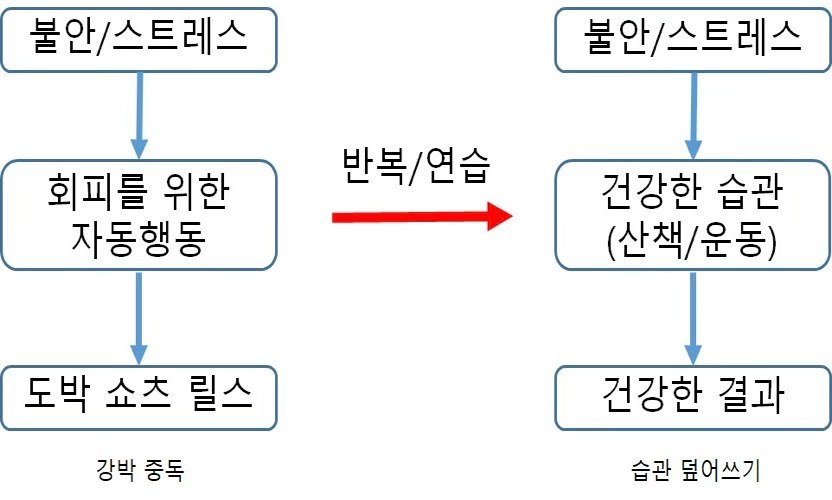 Fig. 4. 습관 덮어쓰기