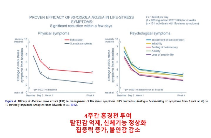 4주간 홍경천 투여 후 신체 증상과 심리 증상 점수 변화를 나타낸 논문 그래프(4주간 홍경천 투여 탈진감 억제, 신체기능 정상화 집중력 증가, 불안감 감소)