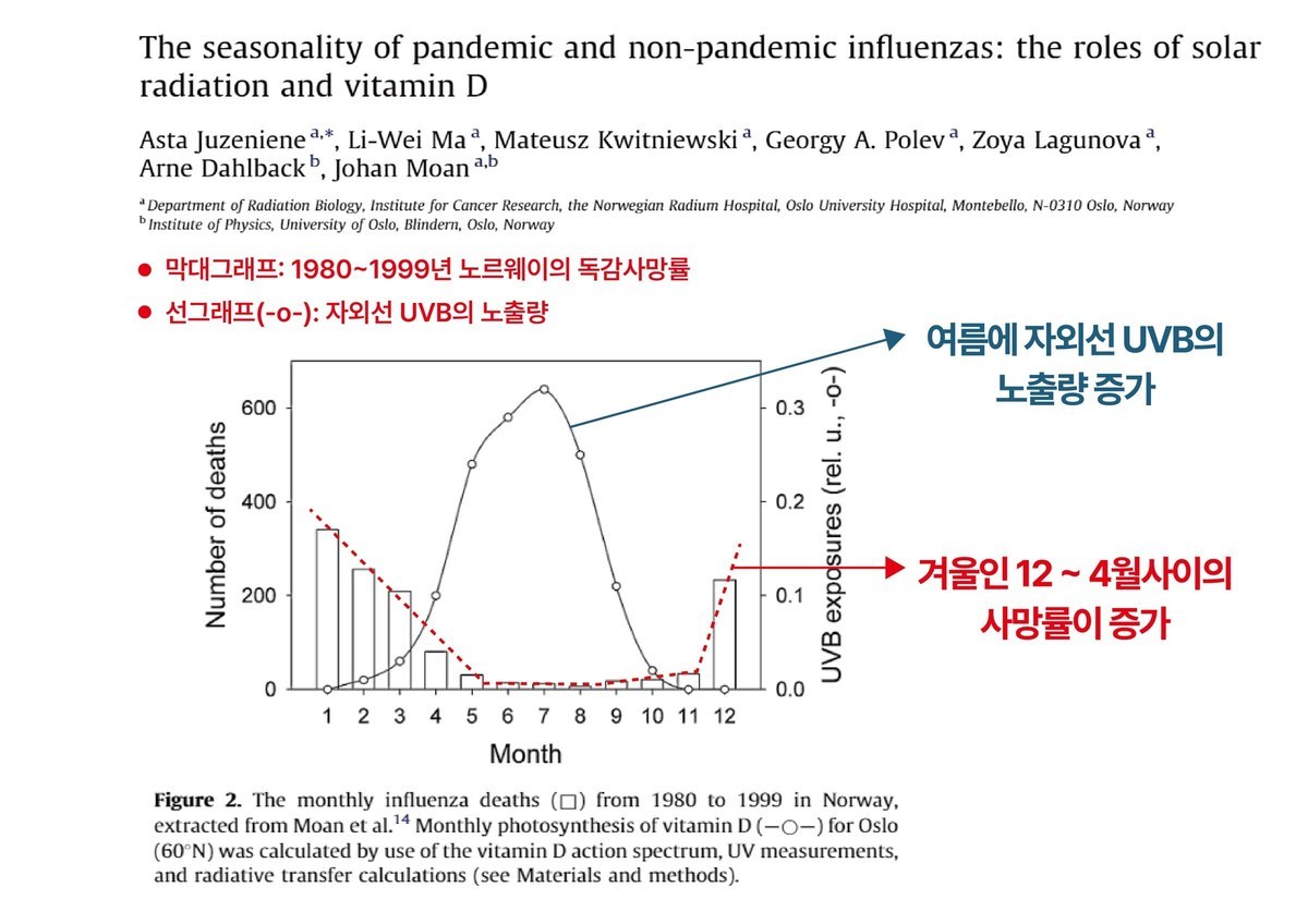 ‘The seasonality of pandemic and non-pandemic influenzas: the roles of solar radiation and vitamin D’ 논문의 그래프로, 1980~1999년 노르웨이의 월별 독감 사망률과 자외선 UVB 노출량을 비교해 겨울인 12~4월 사이 사망률이 증가함을 표시한 그림
