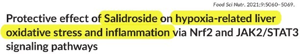 Protective effect of Salidroside on hypoxia-related liver oxidative stress and inflammation via Nrf2 and JAK2/STAT3 signaling pathways 논문 제목