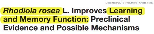 Rhodiola rosea L. Improves Learning and Memory Function: Preclinical Evidence and Possible Mechanisms 논문 제목