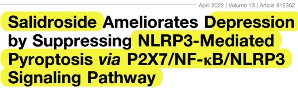 Salidroside Ameliorates Depression by Suppressing NLRP3-Mediated Pyroptosis via P2X7/NF-κB/NLRP3 Signaling Pathway 논문 제목