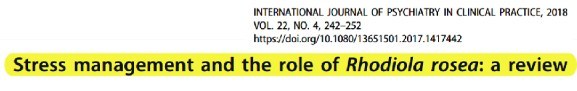 Stress management and the role of Rhodiola rosea: a review 논문 제목