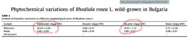 Phytochemical variations of Rhodiola rosea L. wild-grown in Bulgaria 논문의 부위별 성분 함량 표(Table 2)