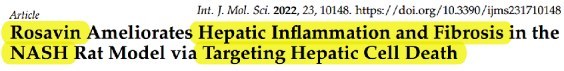 Rosavin Ameliorates Hepatic Inflammation and Fibrosis in the NASH Rat Model via Targeting Hepatic Cell Death 논문 제목