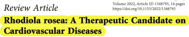 Rhodiola rosea: A Therapeutic Candidate on Cardiovascular Diseases 논문 제목