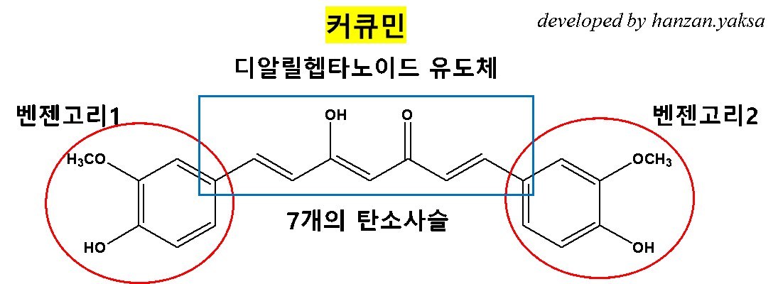 커큐민의 화학구조: 7개의 탄소사슬로 이어진 벤젠고리1·벤젠고리2를 표시한 디알릴헵타노이드 유도체 도식