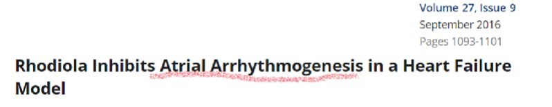 Rhodiola Inhibits Atrial Arrhythmogenesis in a Heart Failure Model 논문 제목
