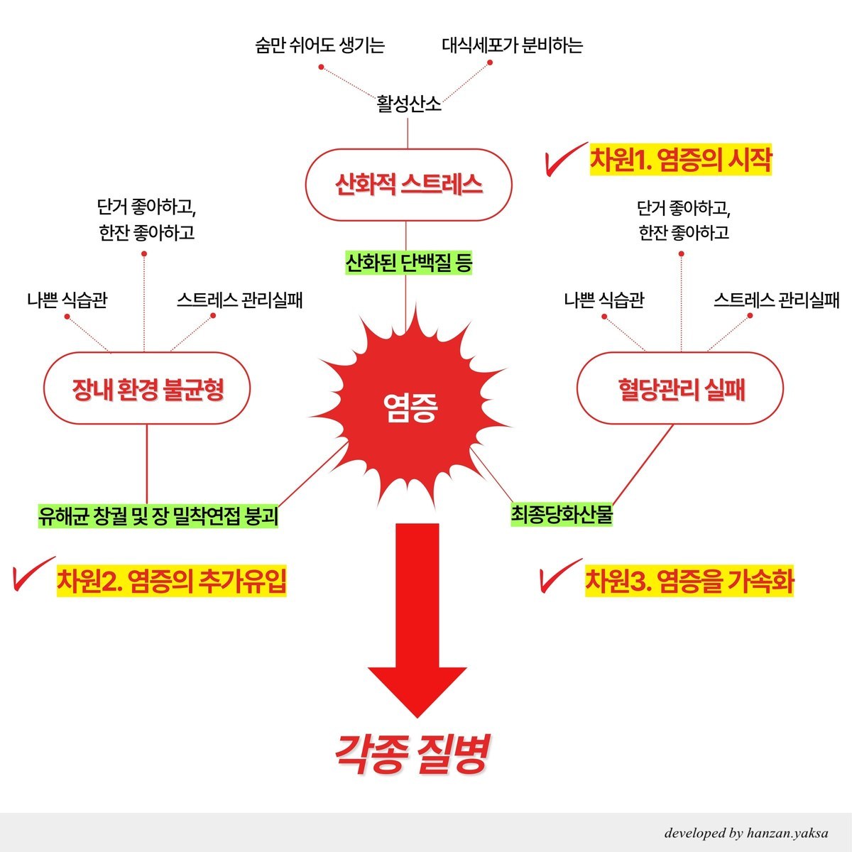 산화적 스트레스(차원1. 염증의 시작), 장내 환경 불균형(차원2. 염증의 추가유입), 혈당관리 실패(차원3. 염증을 가속화)가 염증으로 이어지고 각종 질병에 이르는 관계를 나타낸 도식